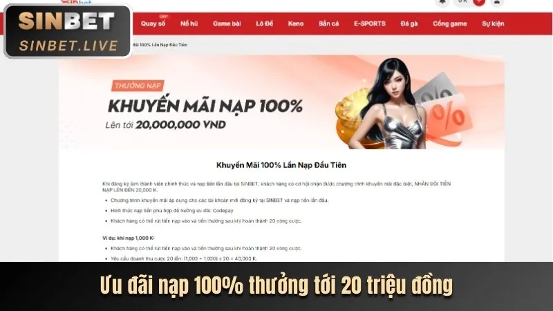 Đặt cược và chơi game với Netwin Code